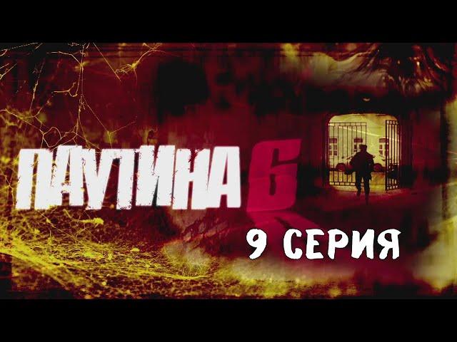 Паутина 6. Серия 9. Детективный Боевик. Криминальный Фильм