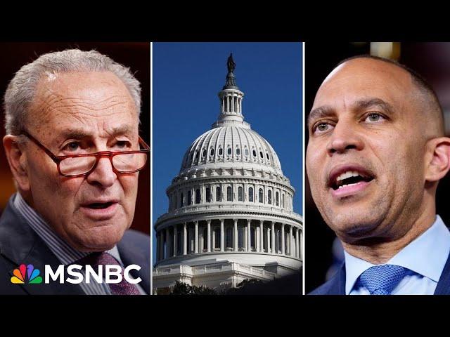 ‘Make. Life. Better.’: DNC Vice Chair lays out what Democratic priorities should be going forward