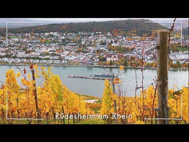 Autumnal Rüdesheim Travel l Traveling with a 49 Euro Ticket Germany Ticket l Germany [1]