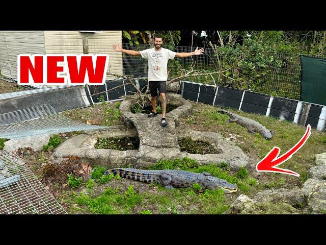 BUILDING Huge GATOR Enclosure! Pt. 1