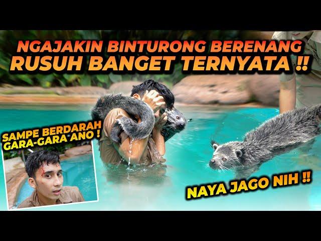 AJAK BINTURONG KELILING RUMAH SAMPE BERENANG ! ANO NAYA HEBOH SAMPE ALSHAD LUKA !!