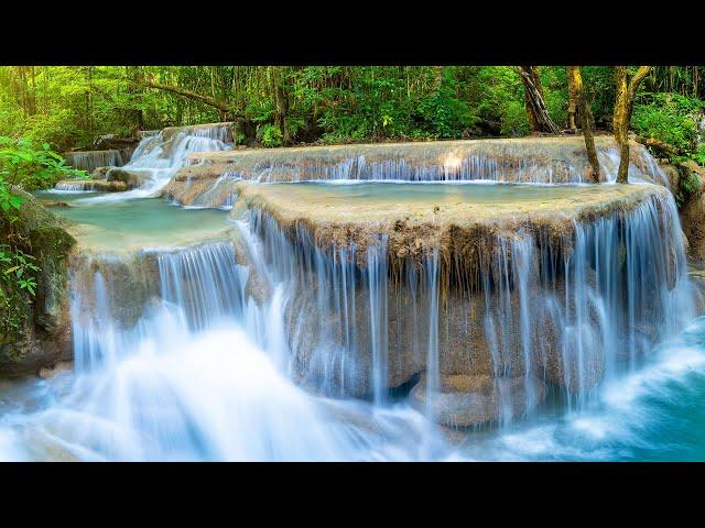 Beautiful Nature Scenery Relaxing Peaceful Soothing Music | Bird Sounds, Water Sound, Sleep Music