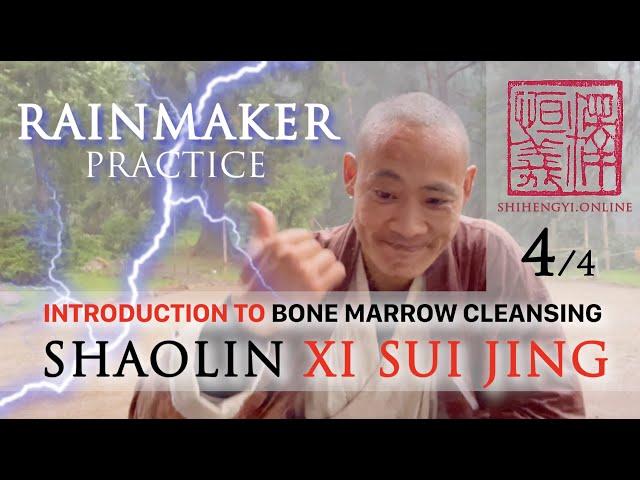 Introduction to Xi Sui Jing (4/4) ️ Form Demonstration ️