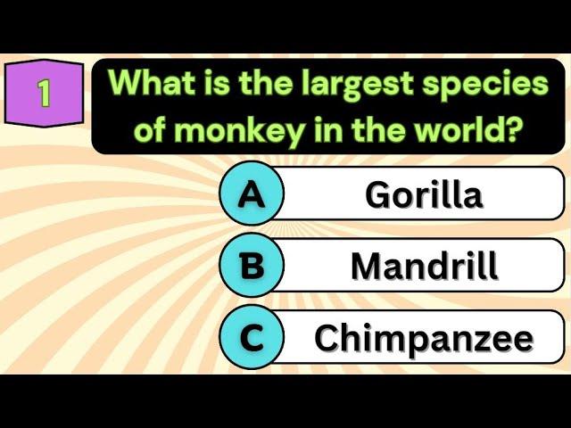 Monkey Quiz Game: Test Your Primate Knowledge in 5 Seconds!