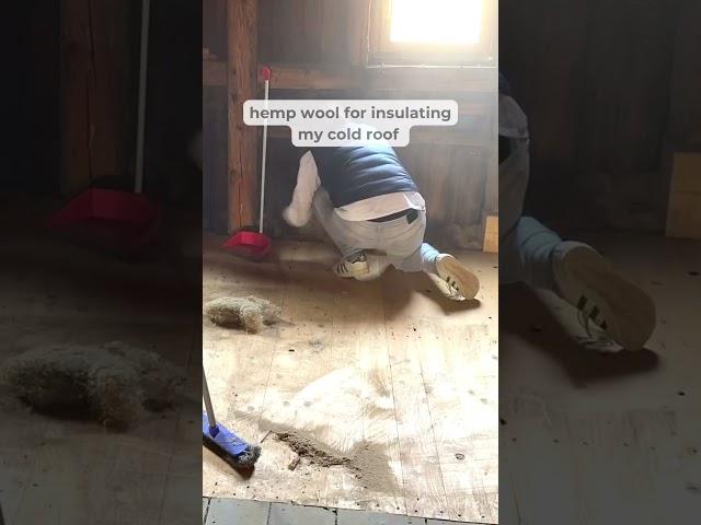 Insulating my cold roof with hemp wool #diy #coldroofinsulation #hempwool #farmhouserenovation