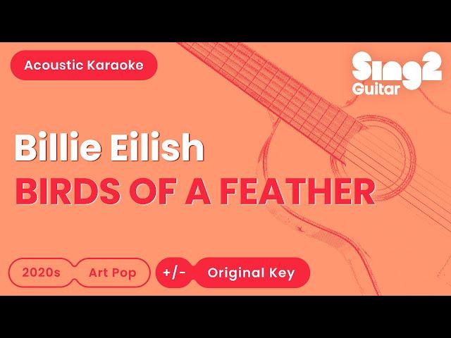 Billie Eilish - BIRDS OF A FEATHER (Acoustic Karaoke)