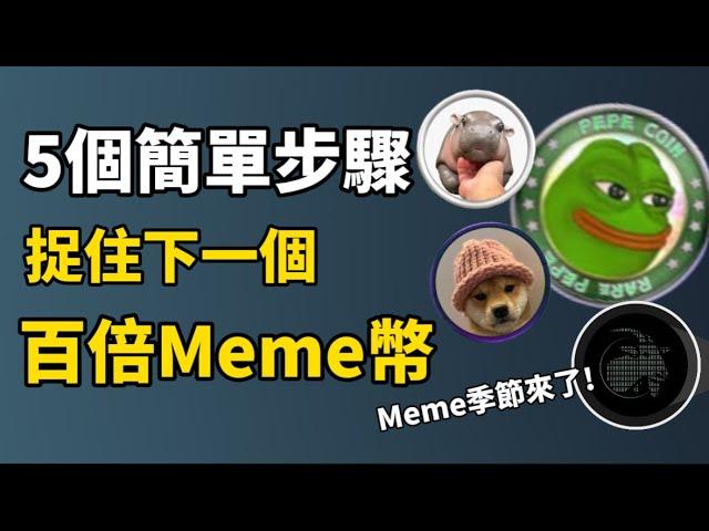 5個簡單步驟，捉住下一個百倍 Meme幣！I 如何找出金狗幣？I 沖百倍 Meme幣必備工具