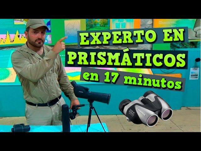 Expert in Binoculars in 17 minutes