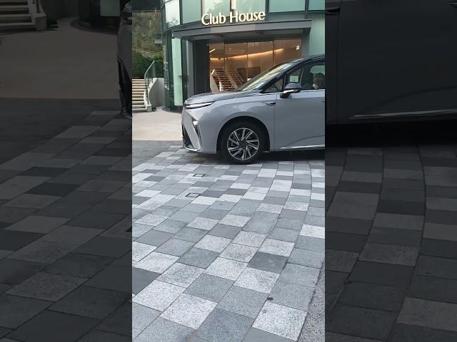 LAI PING ROAD SHA TIN ,Indarti Creator