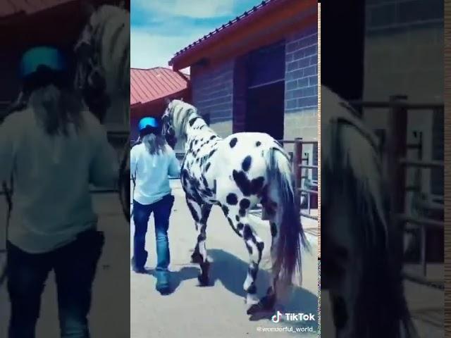 4 сентября 2020 г.