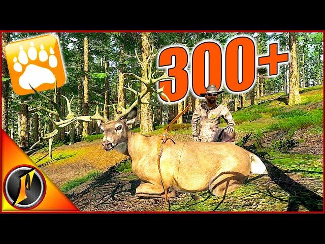 My Highest Scoring Whitetail Ever in theHunter Classic!
