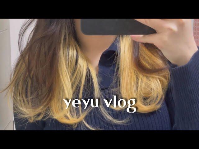 VLOG #3 | 집순이 자취생의 일상 | 욕망의 으른 카레, 배추전 | 어퓨 (블러셔, 틴트)