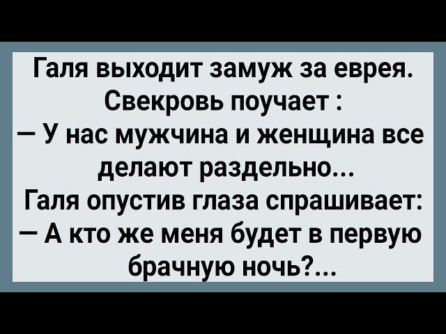 Как Галя За Еврея Замуж Выходила! Сборник Свежих Анекдотов! Юмор! Позитив!