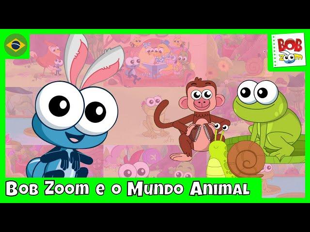 Bob Zoom e o Mundo Animal | Bob Zoom | Vídeo Infantil Musical Oficial @BobZoom