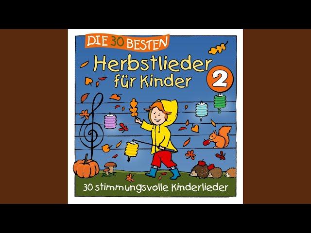 Ein Lichtermeer - Kleine Lichter werden immer mehr