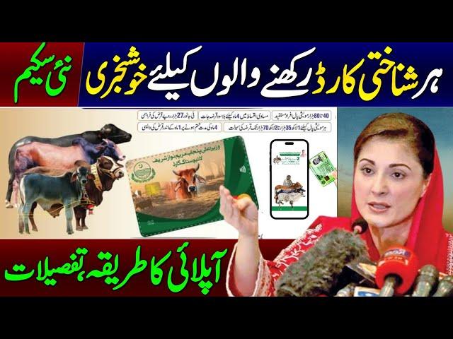 Maryam Nawaz 2 New Schemes in Punjab | Livestock Card Banane Ka Tarika | Livestock Card Apply Online