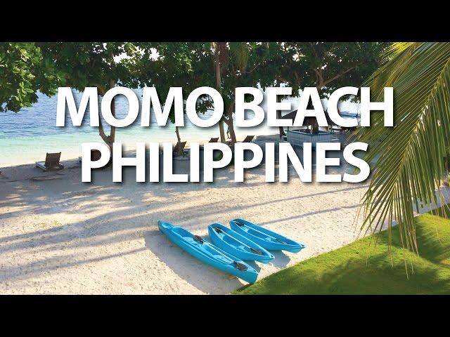 Momo Beach House Panglao Bohol Philippines