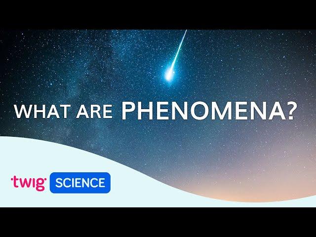 Phenomena Explained: What is phenomena-based learning? | Twig Science