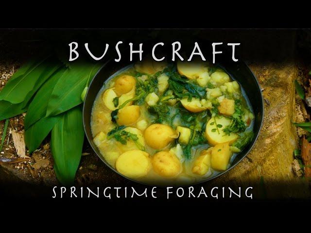 Springtime Foraging