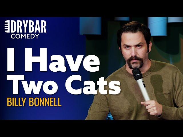 When You're A Man With Two Cats. @billybonnell_indeed