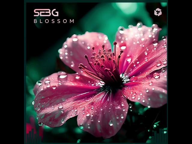 Seb-G - Oh Man (Original Mix)