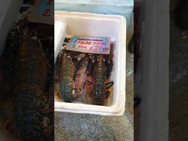 Huge spiny lobster on the market