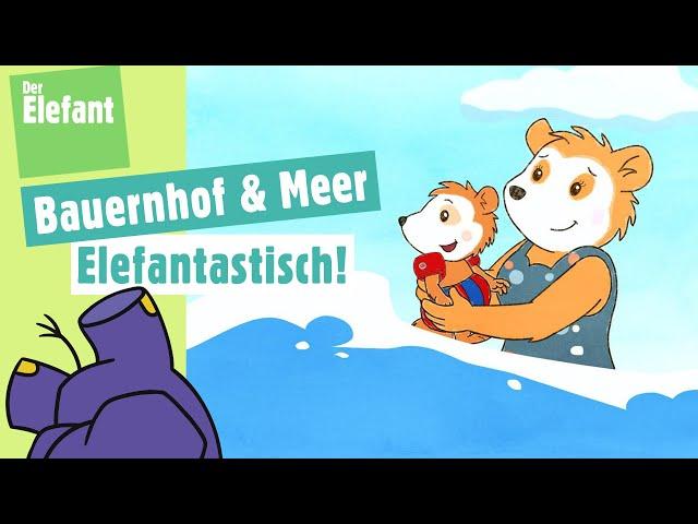 Bobo besucht einen Bauernhof für Kinder & Bobo fährt ans Meer | Der Elefant | WDR