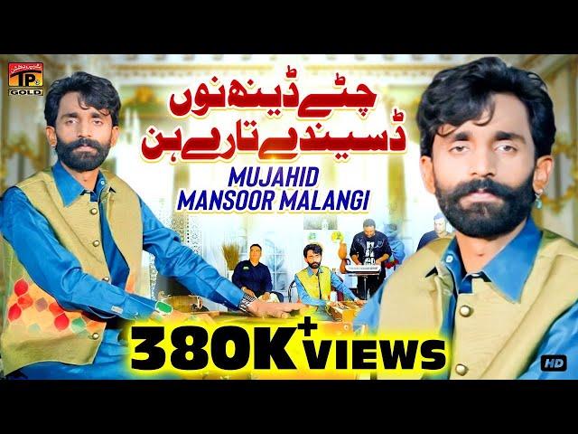 Chittay Deenh Nu Desenday Tare Hin | دُکھی دل | Mujahid Mansoor Malangi | (Official Video) | TP GOLD