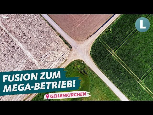 Farmers share 800 hectares and fleet | WDR Lokalzeit Land.Schafft.