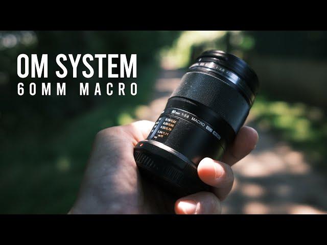 Mein liebstes Makro Objektiv! OM System M.Zuiko 60mm Makro