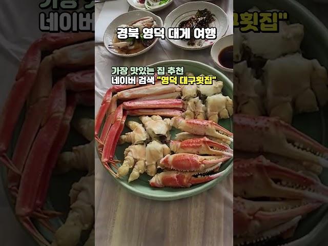 경북 영덕 대게 여행하기 좋은 곳 #영덕가볼만한곳 #영덕여행 #경북영덕여행 #영덕대구횟집