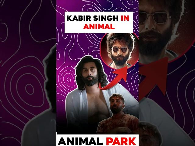 I Found Kabir Singh in Animal Movie  #animal #details