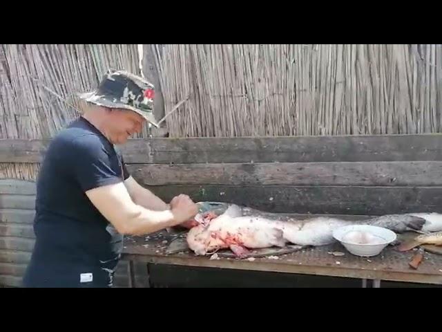 База отдыха в Астрахани "Тортуга"