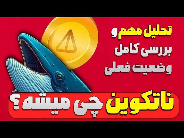 نات کوین چی میشه ؟/ تحلیل مهم نات کوین و بررسی کامل وضعیت فعلی نات کوین NotCoin