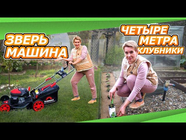 16 мая ДАЧА | ГЛАМУРНЫЙ ДЕВАЙС SUNREKA  | КЛУБНИКА ПОД КОКОСОМ |  ГОРТЕНЗИИ ИЗ ПЯТЕРОЧКИ