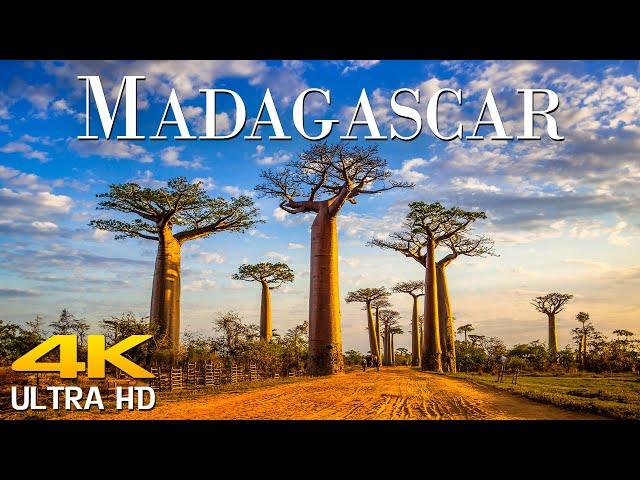 Madagascar 4K - Scenic Relaxation Film With Calming Music | Scenic Film Nature