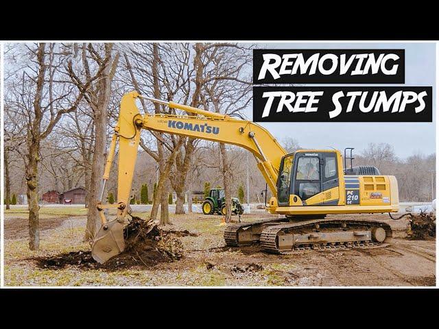 Removing Tree Stumps with Excavator | Heavy Equipment Operator