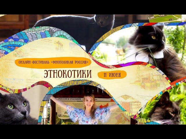 Онлайн-фестиваль «Многоликая Россия»:  в России коты живут везде!