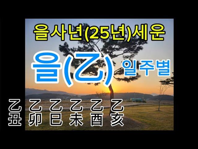 을사년(25년)일주별 세운 - 을목 일주별