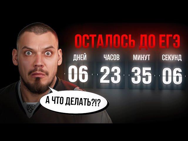 НЕ ДЕЛАЙ ЭТОГО ЗА НЕДЕЛЮ ДО ЕГЭ | 26-ой день «Щелчка»