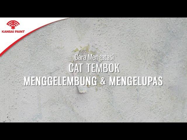 Cara Mengatasi Cat Tembok Menggelembung Dan Mengelupas