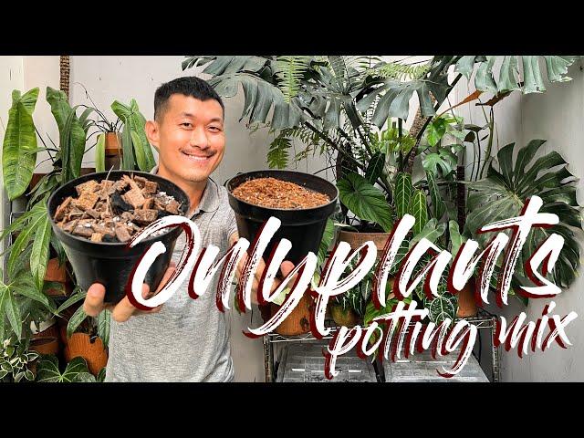 Onlyplants Potting Mix | Ingredients, Benefits, Pros and Cons