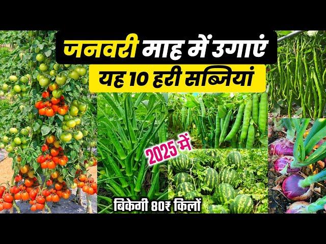 January me konsi sabji lagaye | जनवरी में कौनसी सब्जी लगाएँJanuary me sabji ki kheti 2025 में sabji