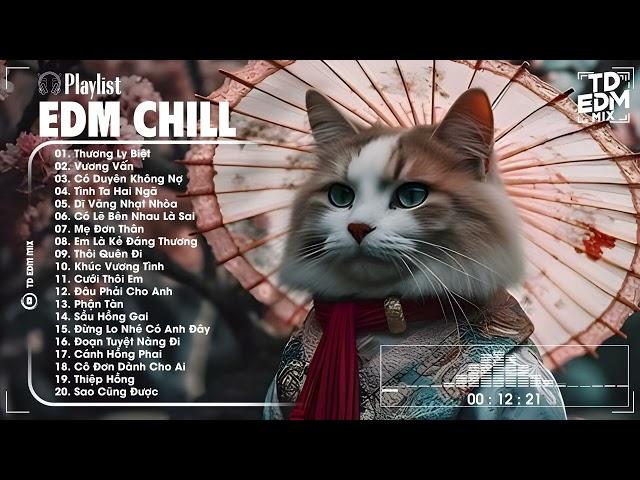 Một Chút EDM Chill Thư Giản Sau Ngày Dài Mệt Mỏi  Top 20 Bản Nhạc EDM Gây Nghiện HOT TikTok 2024