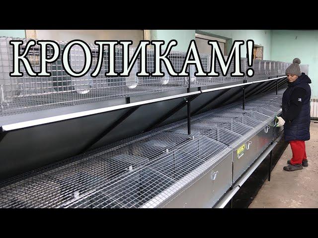 КАК МЫ КЛЕТКИ ДЛЯ КРОЛИКОВ СОБИРАЛИ!