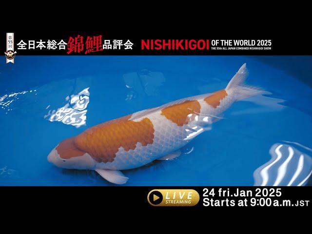 The 55th All Japan Nishikigoi Show is Coming Soon! —Don’t Miss It!