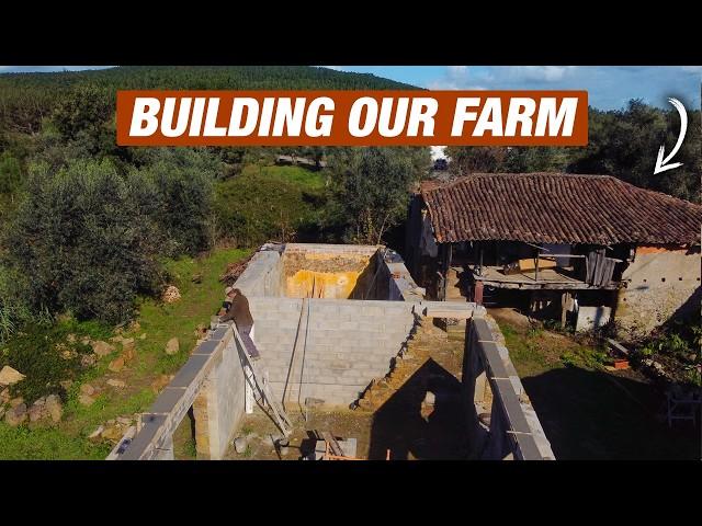 Almost done with the stone walls on our dreamy farm in Portugal