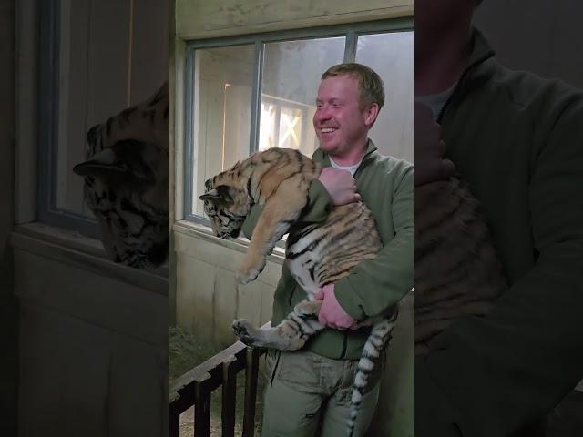 маруся в кино