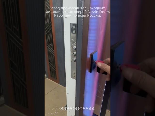 Входная металлическая дверь с подсветкой