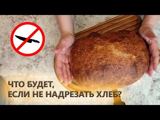 Можно ли не надрезать хлеб? и что получится, если этого не сделать?